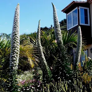 Mar Y Teide Apartment