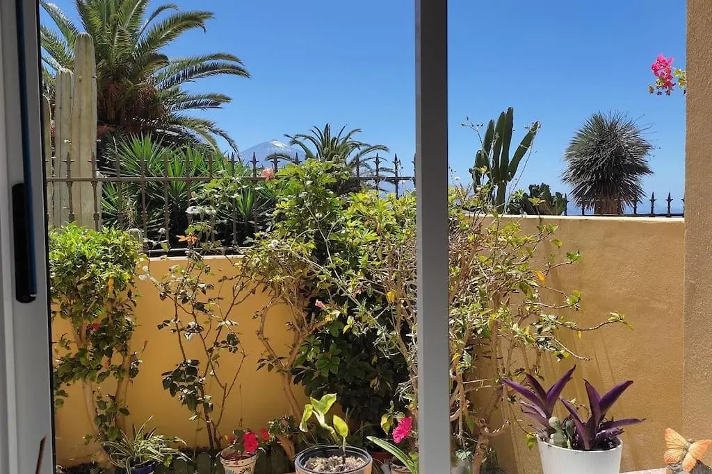 Casa El Sentir Apartment Sauzal